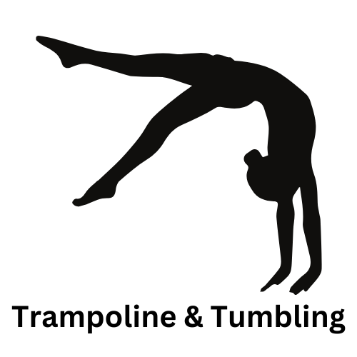 Gymnast Icon